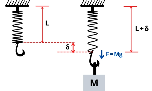 spring constant