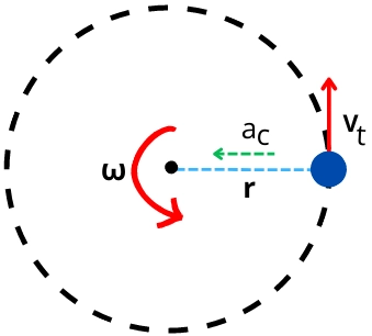 Centripetal acceleration acting on the revolving object