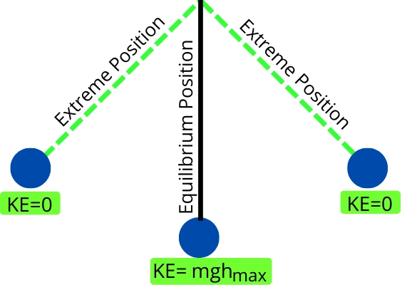 Kinetic energy at equilibrium and extreme position