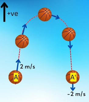 ball thrown in upward direction